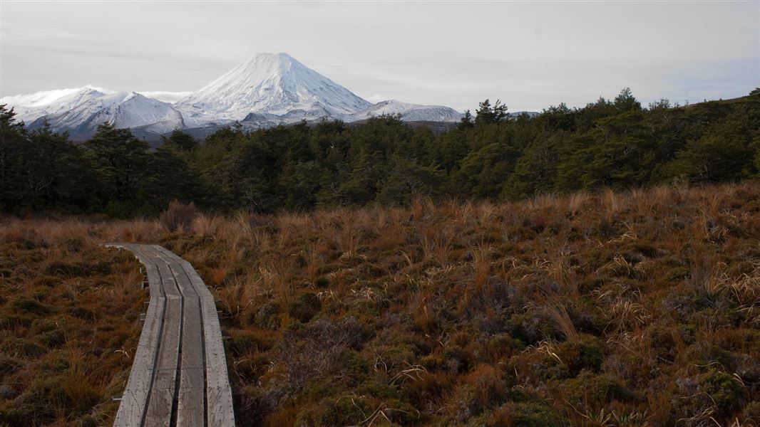 Mount Ngauruhoe seen from the Whakapapaiti Track