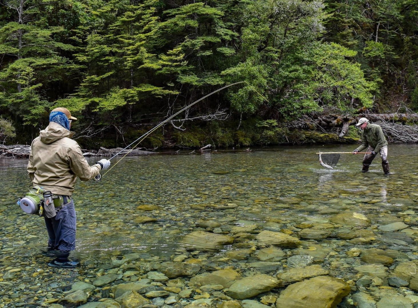 Fly fishing for trout in Taupo