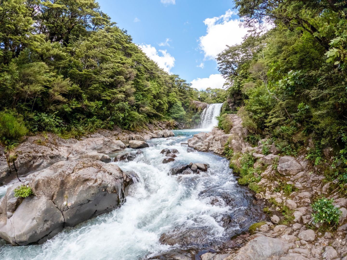 Tawhai Falls in Tongariro national Park
