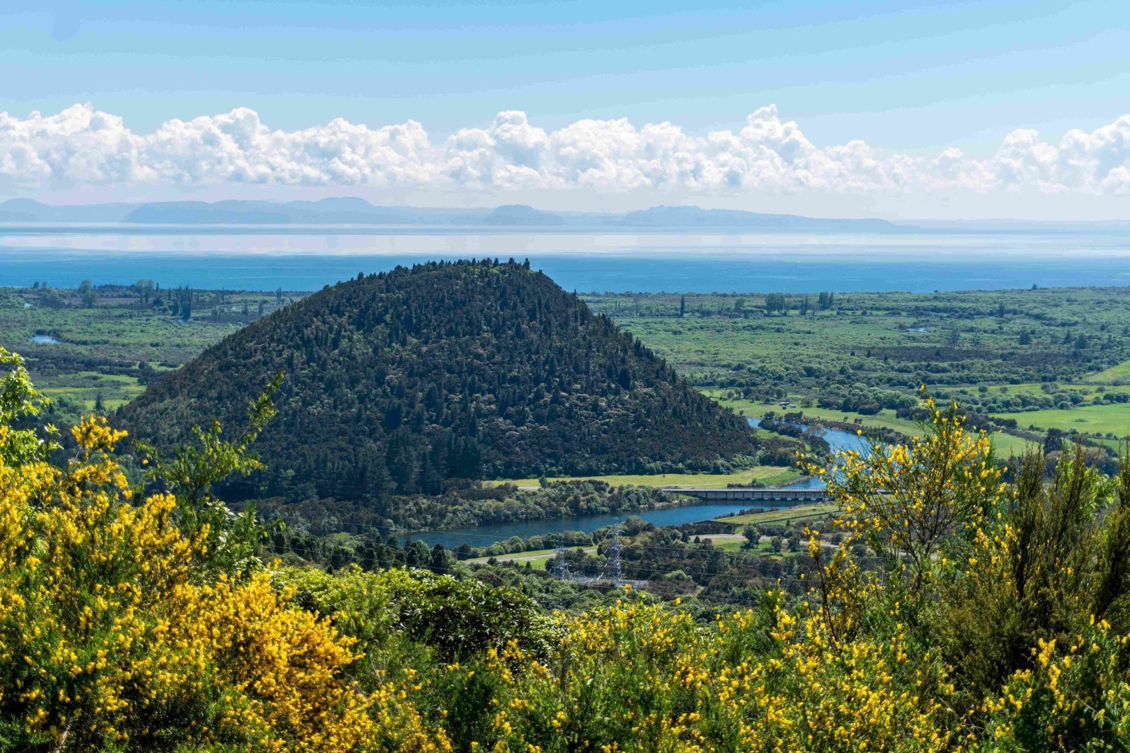 Learn more about things to do in Turangi while visiting the area