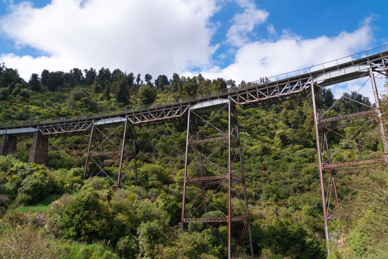 The Hapuwhenua bridge in Ruapehu