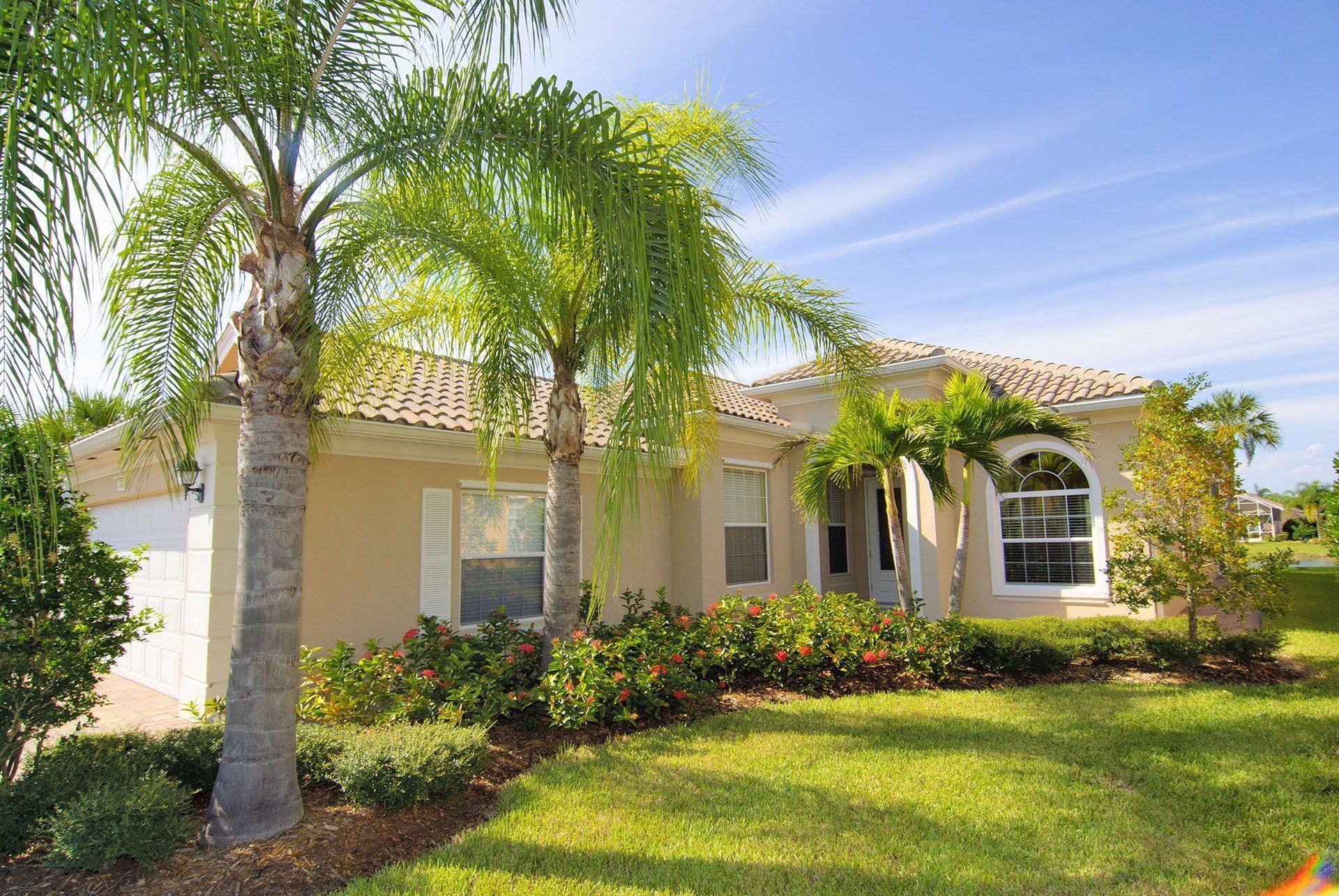 A house with two palm trees in front of it