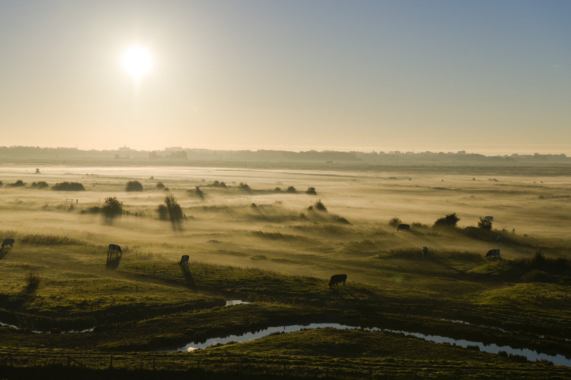 Mis en laaghangende zon bij de Yerseke Moer Natuurgebied