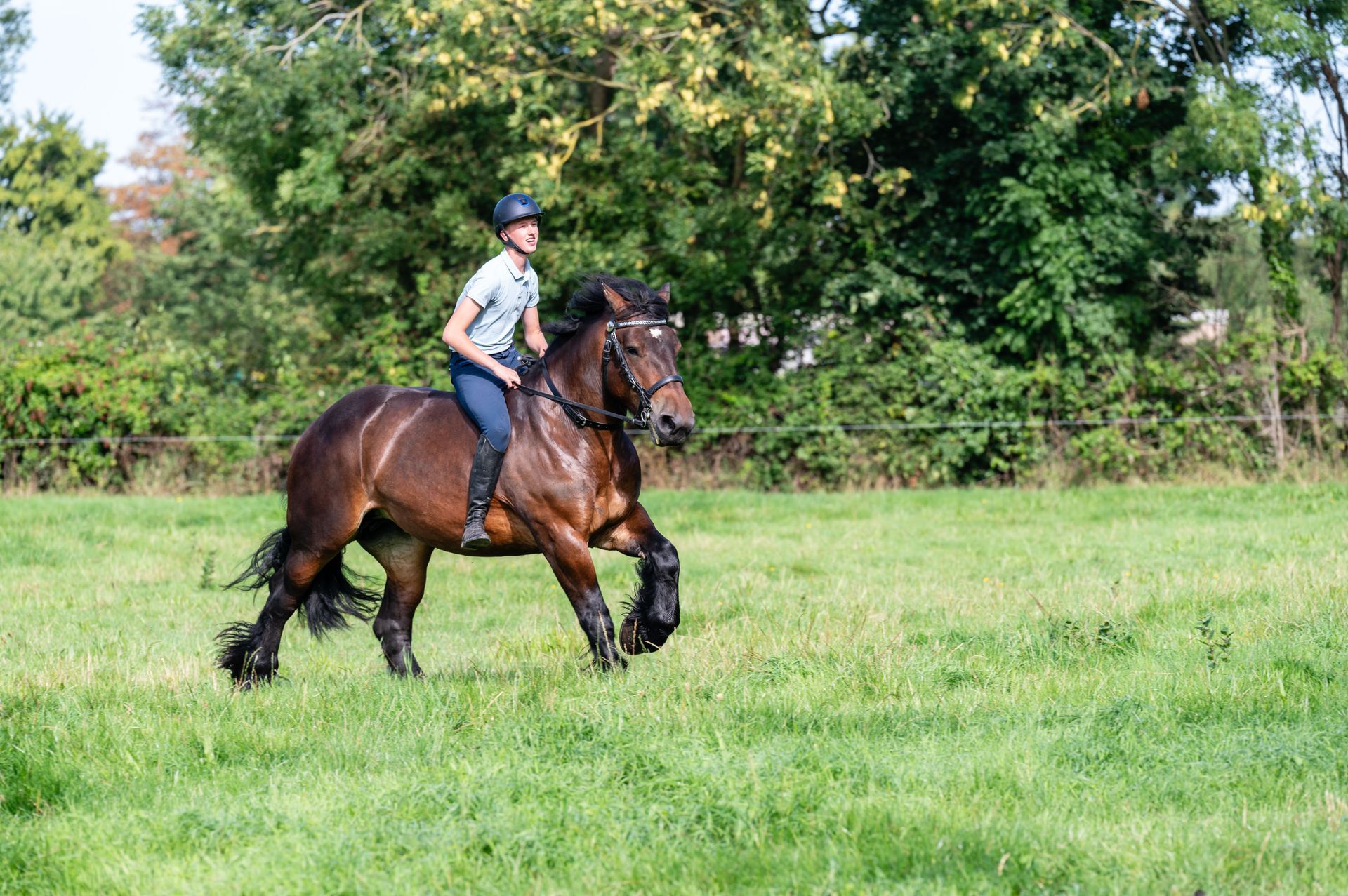 Jongen en zijn boerenknol, prachtig paard in galop