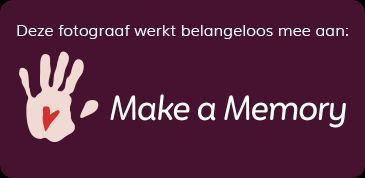 Logo Make a Memory