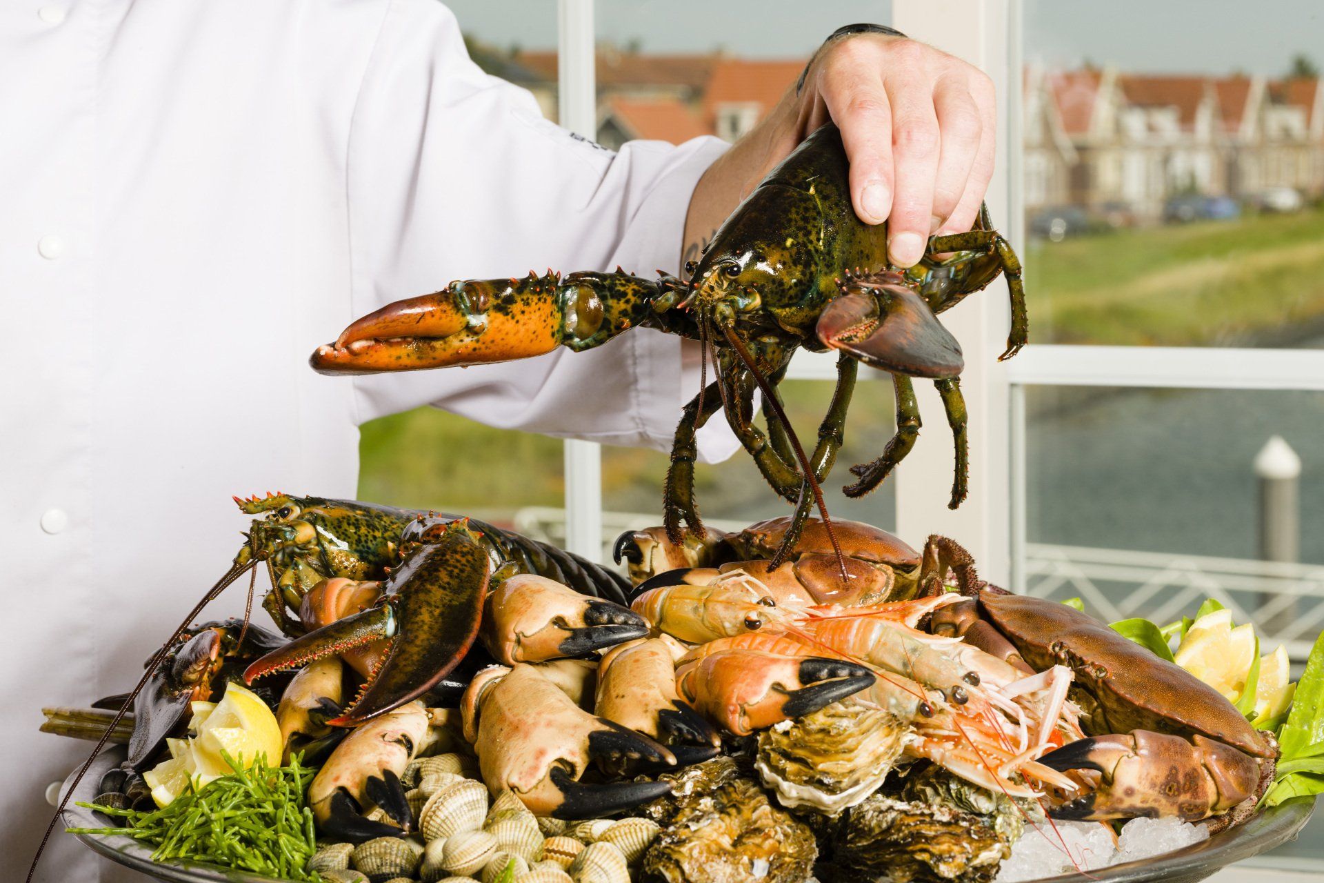 Foodfoto van Oosterscheldekreeft bij Restaurant en Havenbrasserie BomDia met uitzicht over huizen aan de jachhaven van Wemeldinge