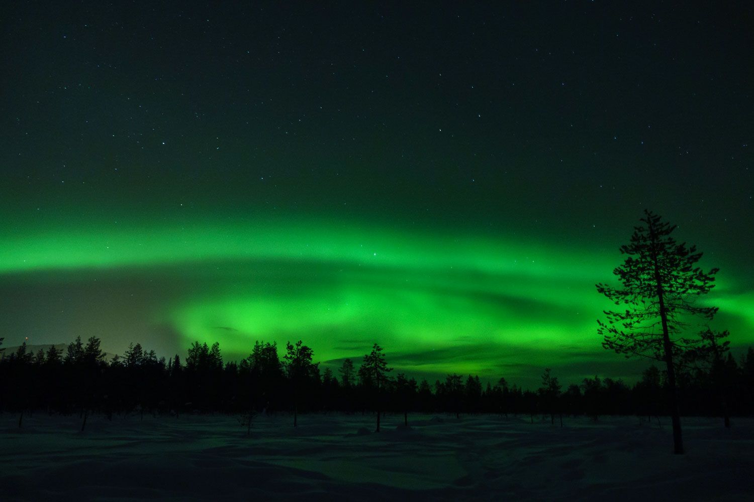 Het noorderlicht in Lapland