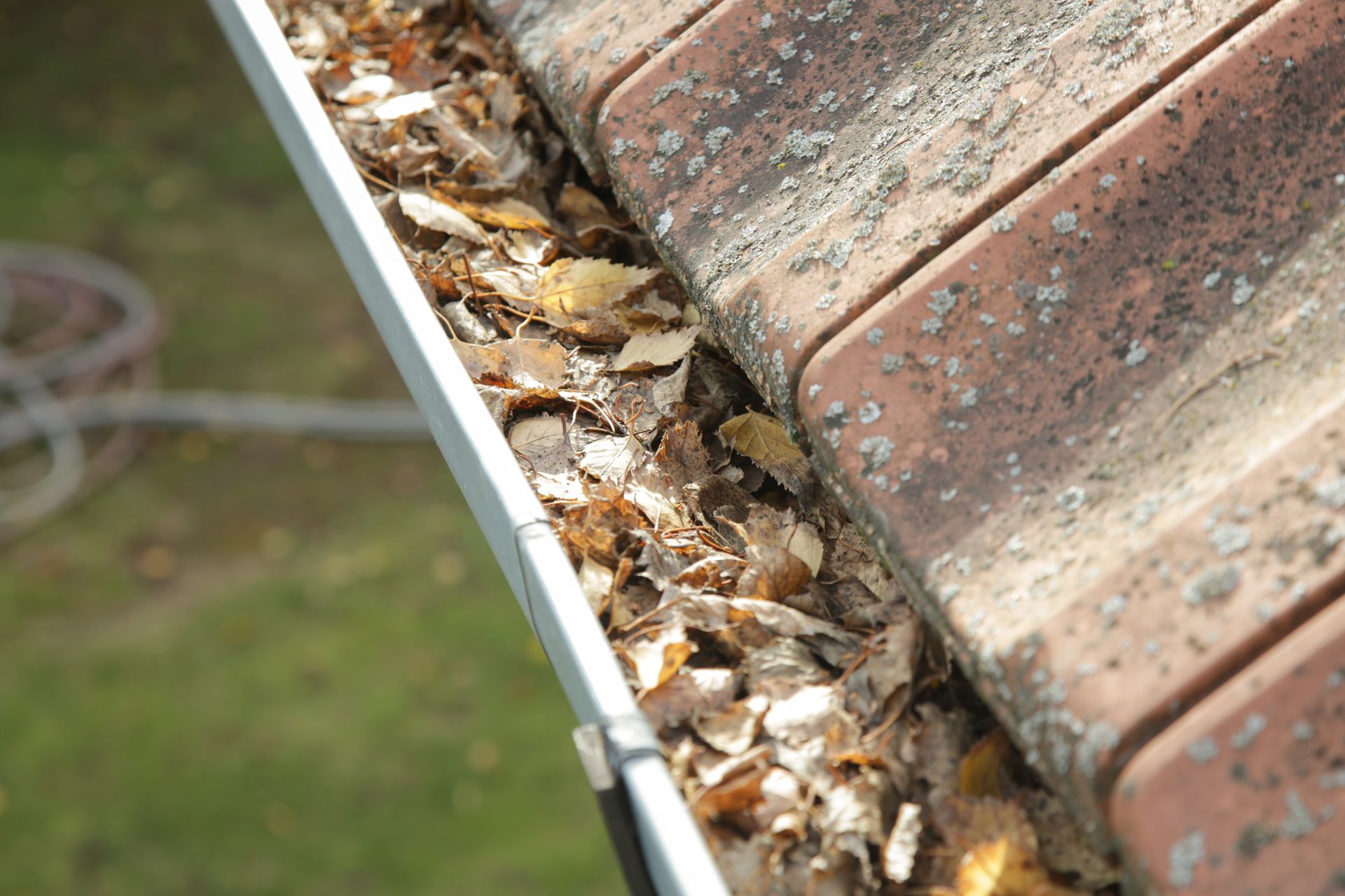 Box Gutters Clogged With Brown Leaves and Debris — Fullerton's Plumbing Manufacture In Woree, QLD