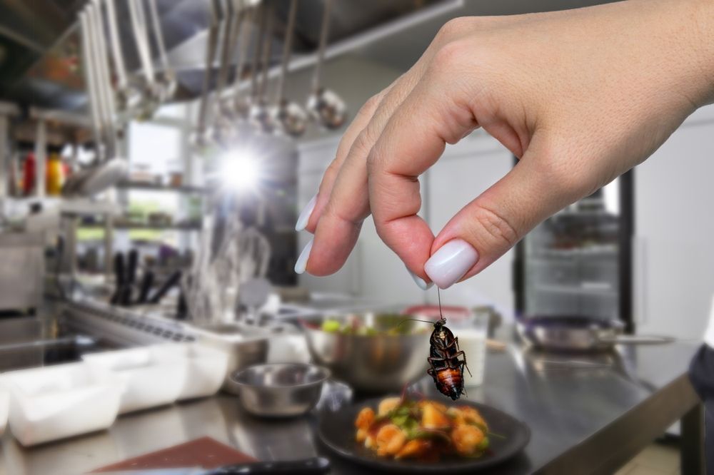 Hand pinching a cockroach above food in a kitchen prep area