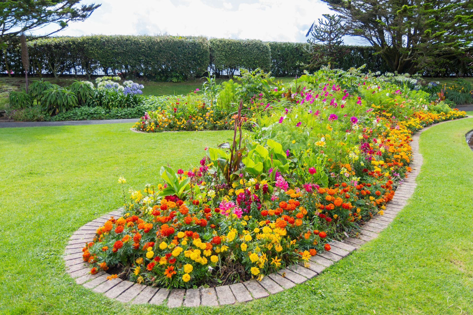 There are many different types of flowers in the garden.