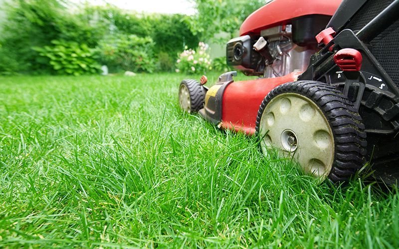 A red lawn mower is cutting a lush green lawn.