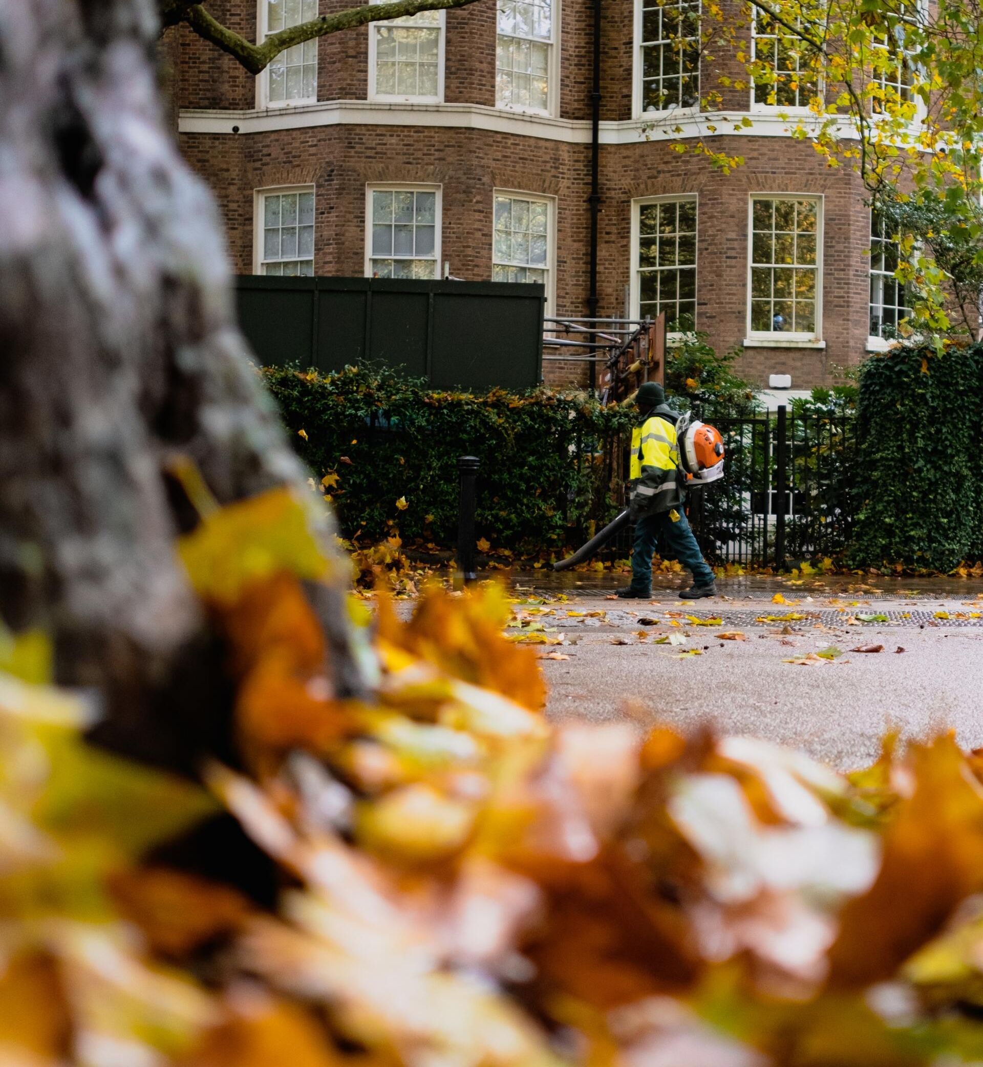 A man is blowing leaves from a tree on the side of the road.
