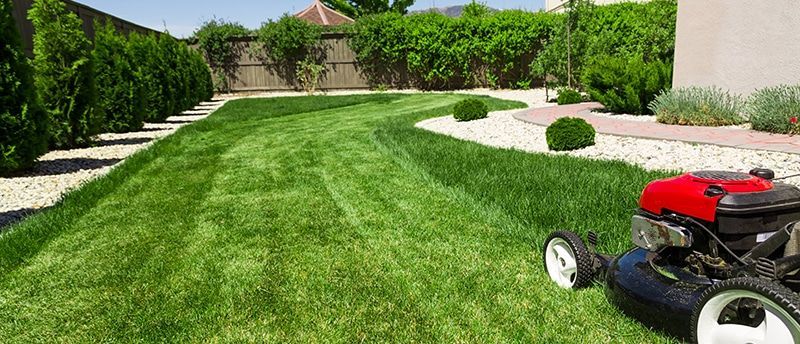 A lawn mower is cutting a lush green lawn in a backyard.