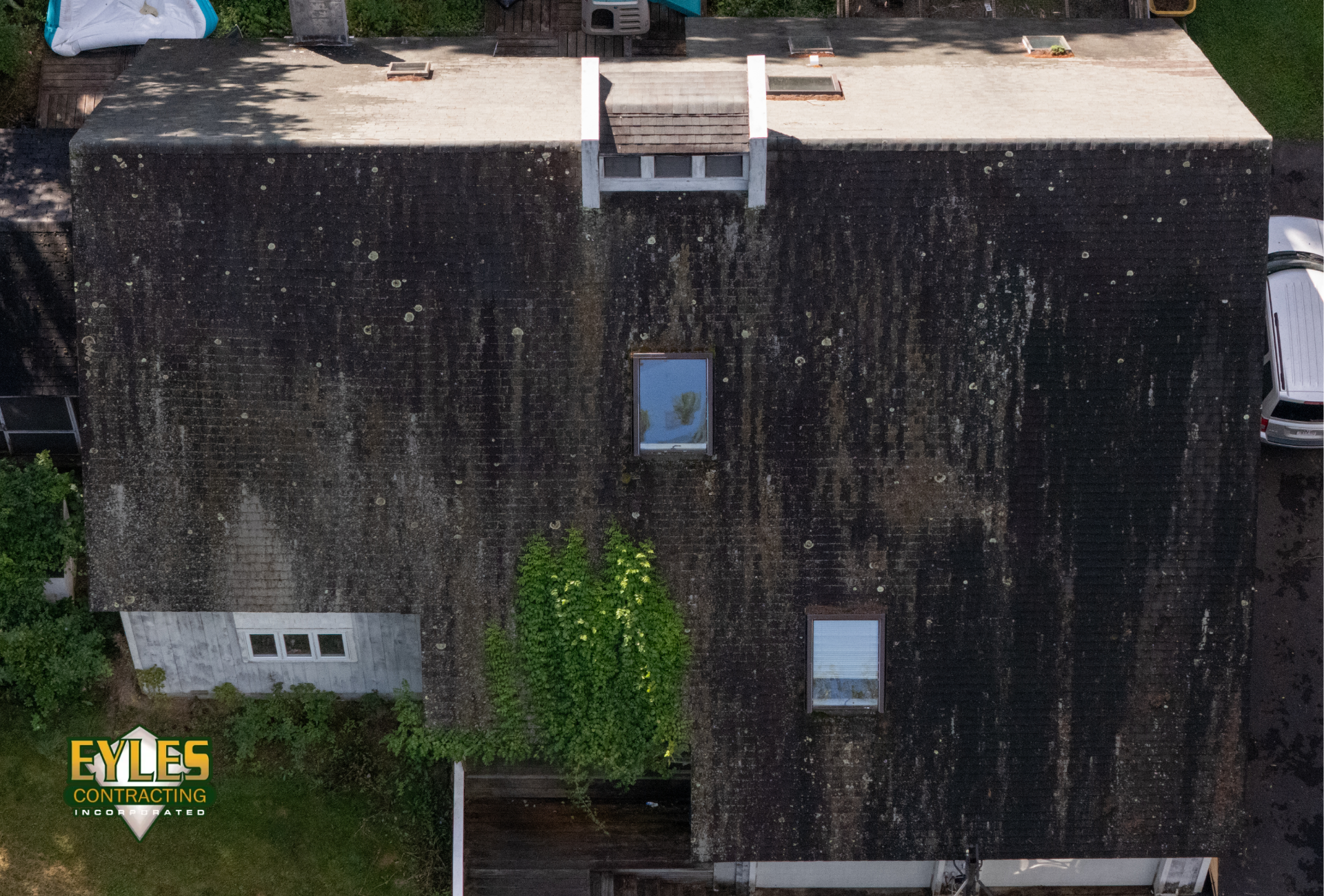 An aerial view of a residential roof covered in moss and algae growth showing significant buildup .
