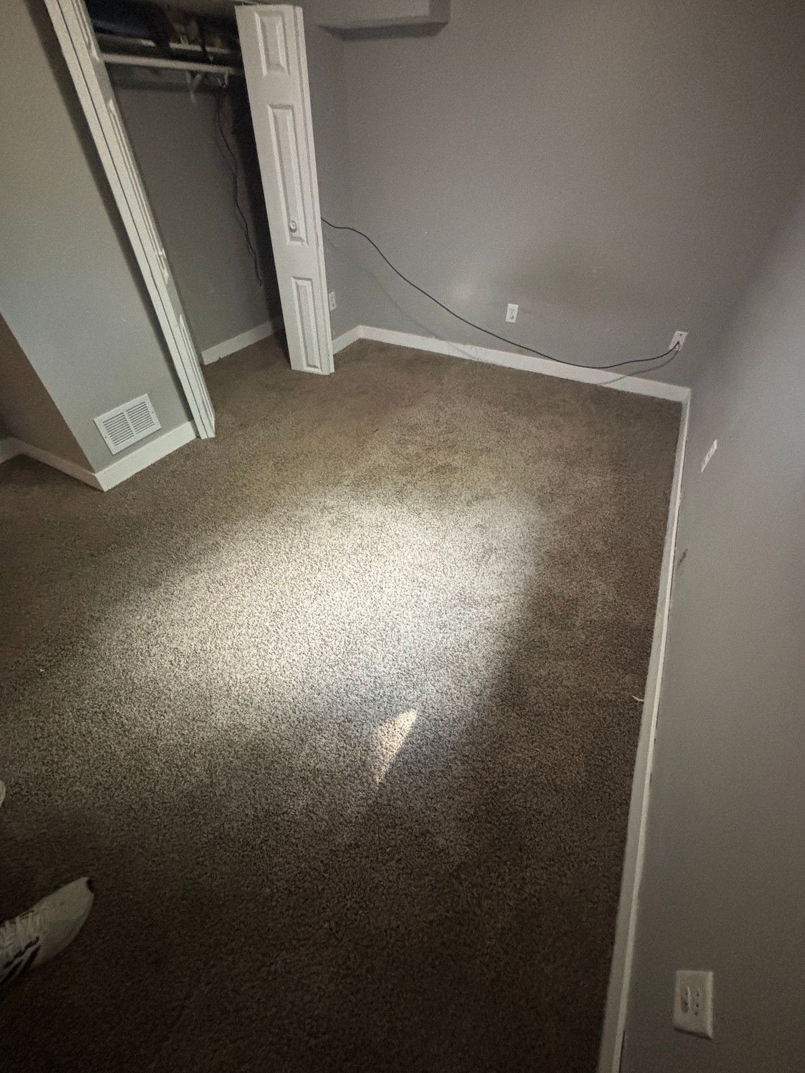 Gray-walled room with carpet and an open closet.