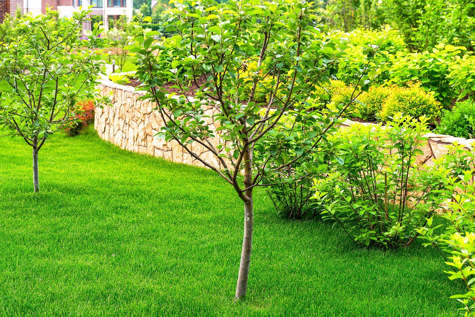 Professional Landscaping Services in Cypress, Texas Professional Landscaping Services in Cypress, Texas