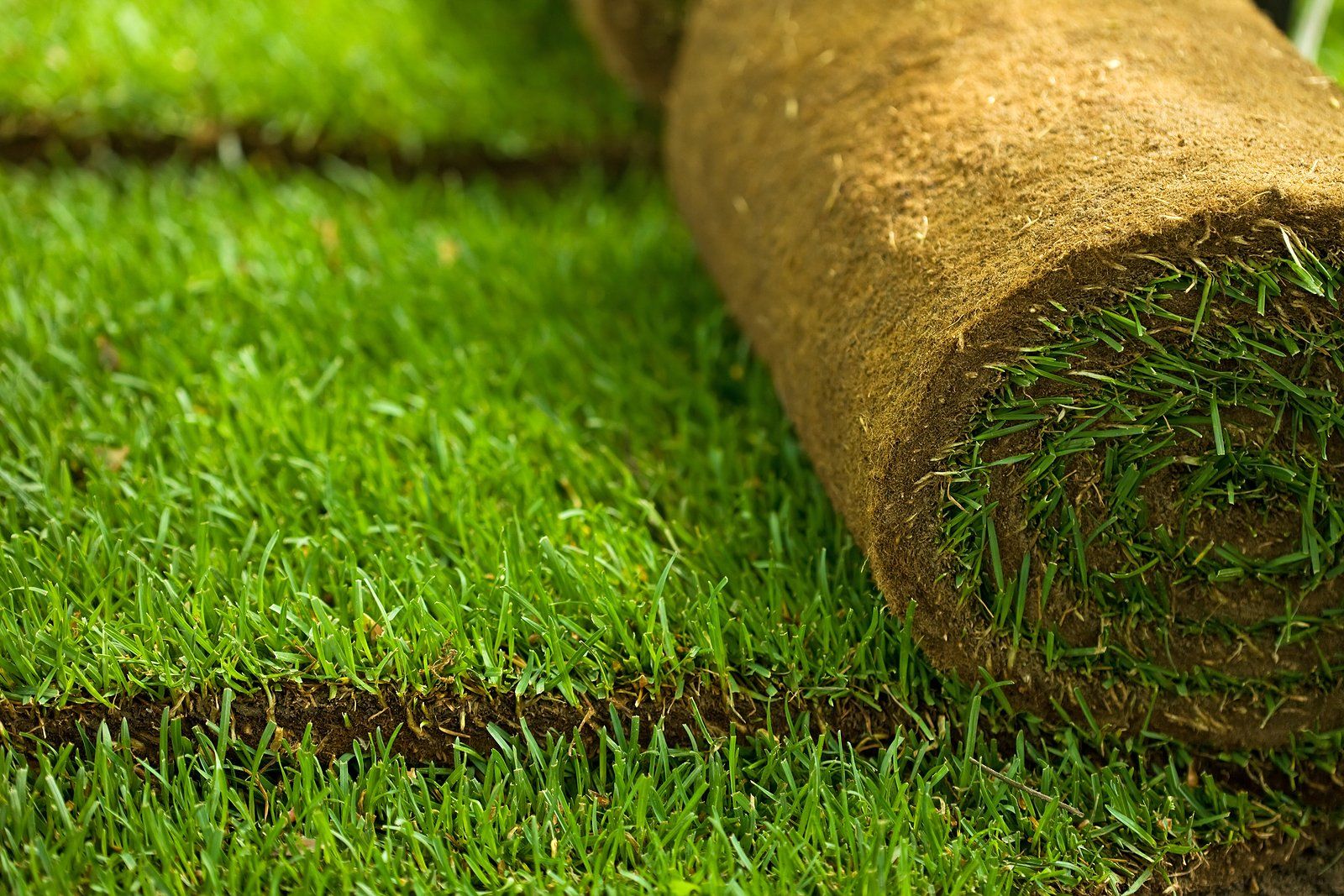 Yard Drainage Contractor Near You Yard Drainage Contractor Near You