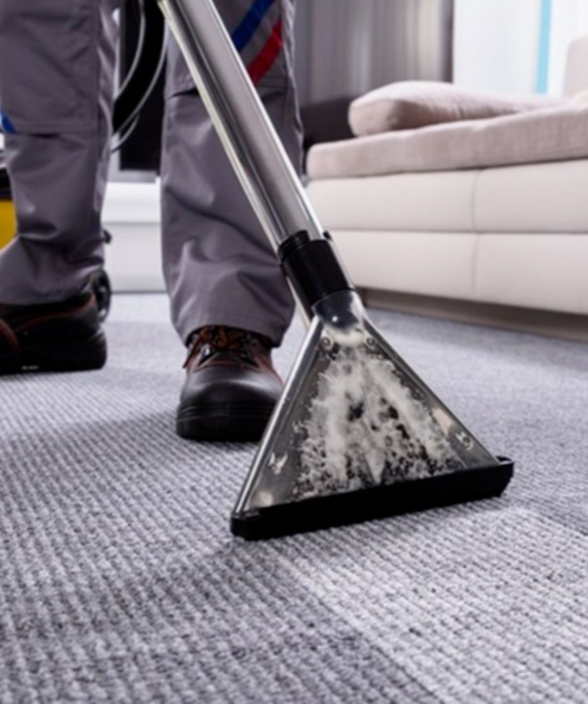Professional Carpet Cleaning Arlington Heights, IL FiberTech Carpet