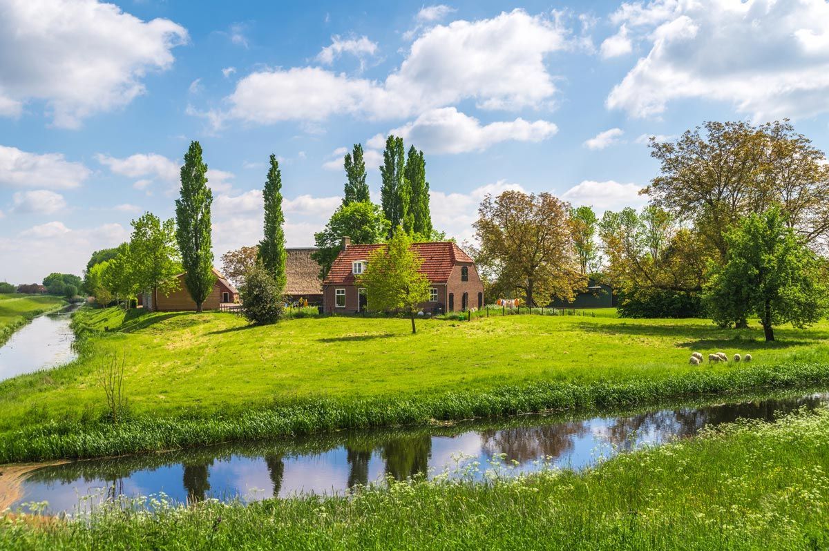There is a house in the middle of a grassy field next to a river.