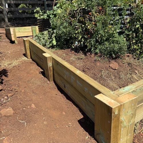 Raised wooden garden bed in a dirt yard with plants growing inside, beside a path.