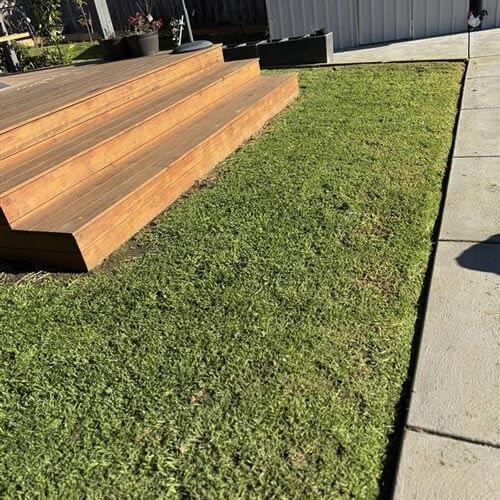Wooden deck steps beside a green lawn and concrete sidewalk in bright sunlight