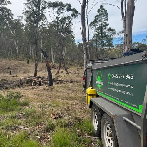 Utility truck parked beside a cleared woodland area with burnt stumps and tall eucalyptus trees
