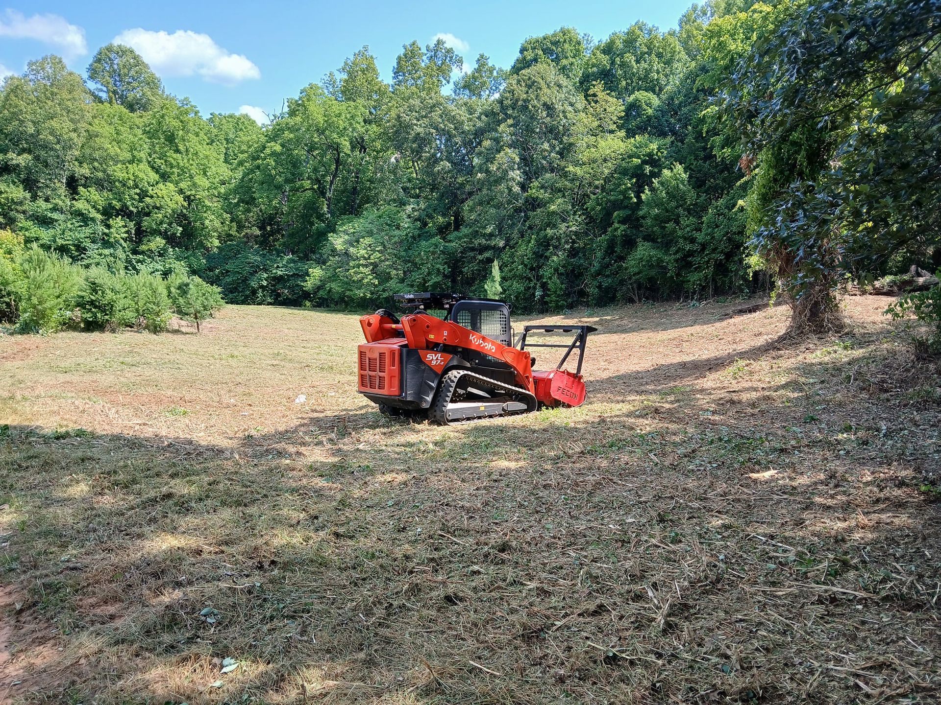 Red tractor mowing a grassy clearing beside trees under a blue sky.