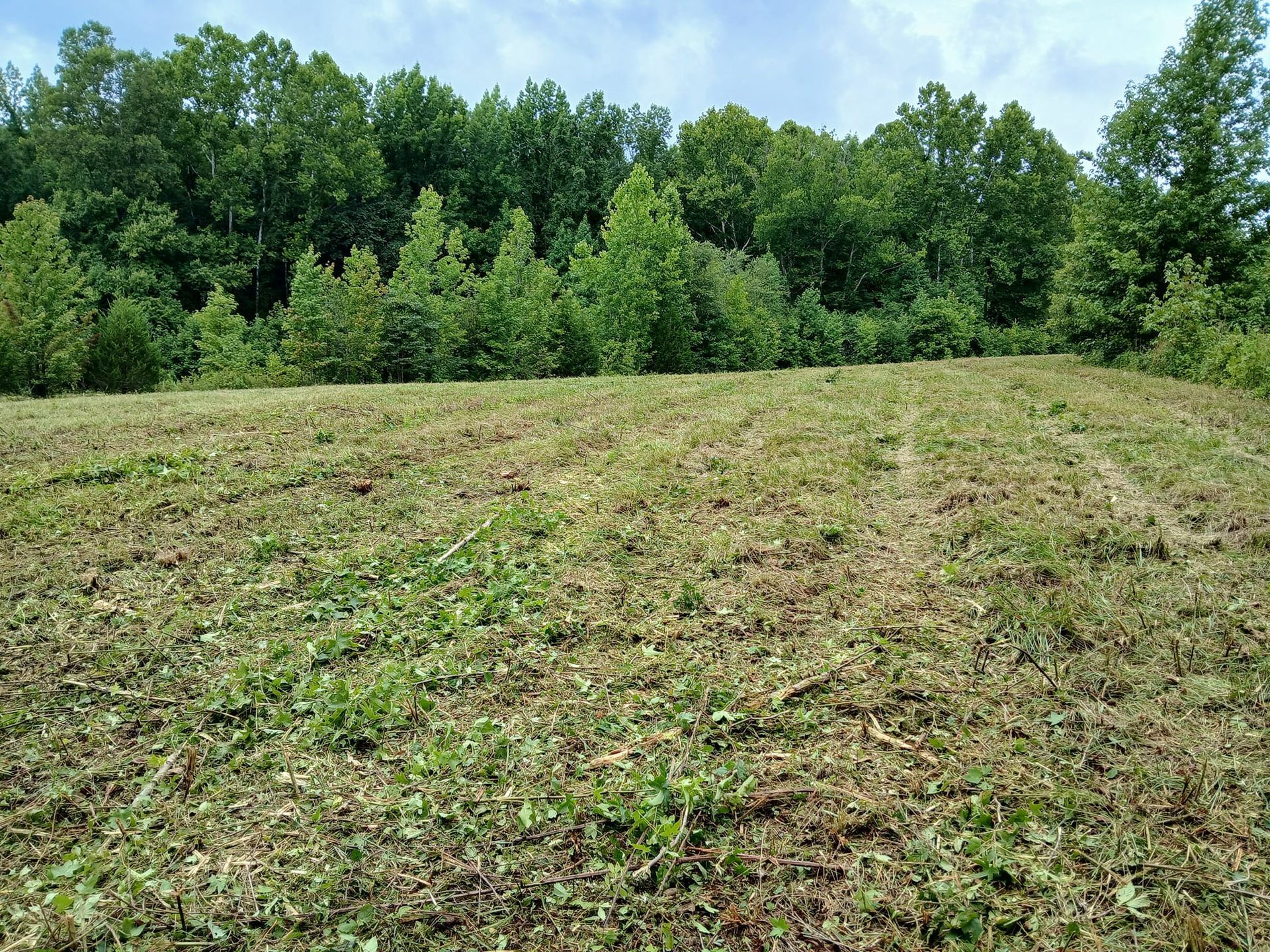 Freshly tilled field with green forest and blue sky in the background