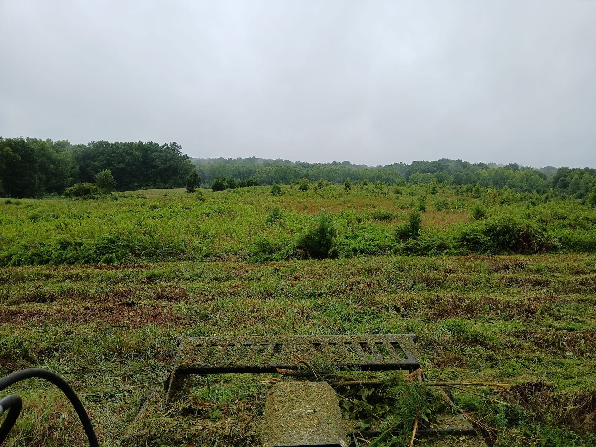 Overcast field with low green crops and distant trees behind a muddy foreground