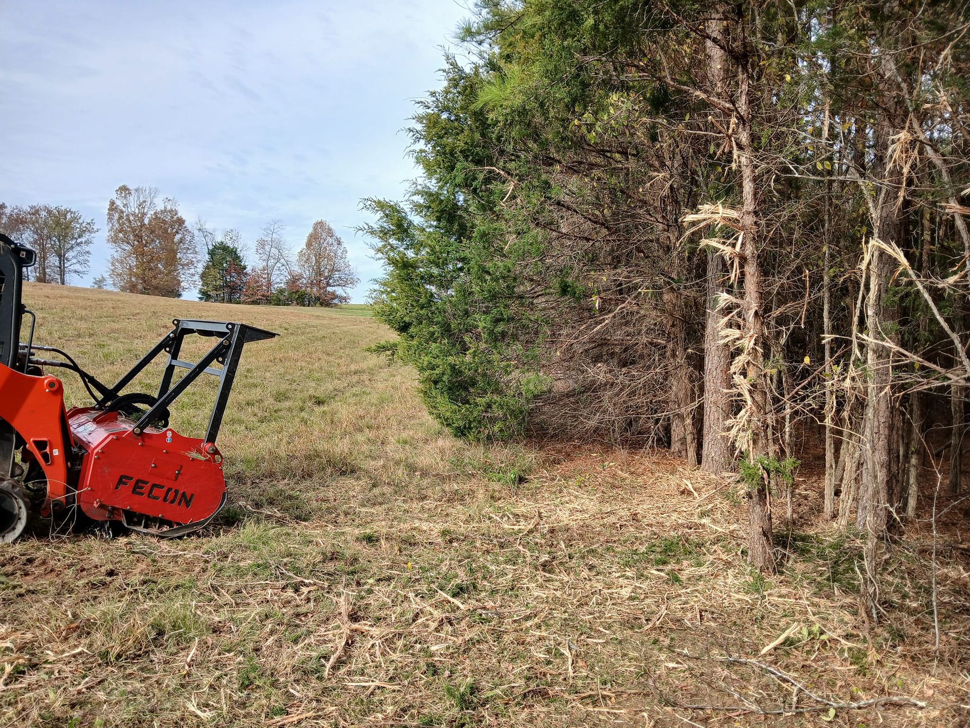 Orange tractor mowing grass beside a wooded field on a sunny day