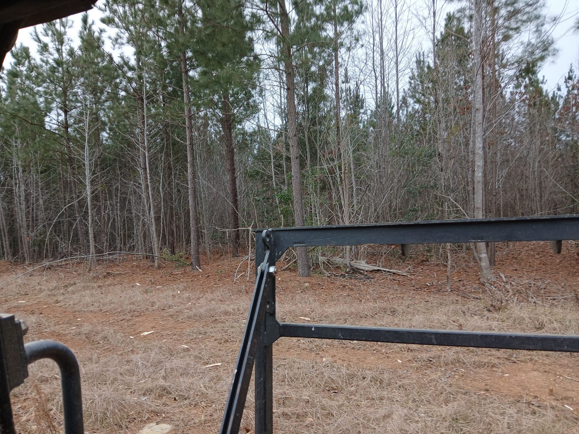 Black metal gate in front of a wooded clearing with bare trees and pine forest.
