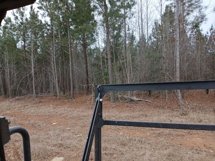 Black metal gate in front of a wooded clearing with bare trees and pine forest.