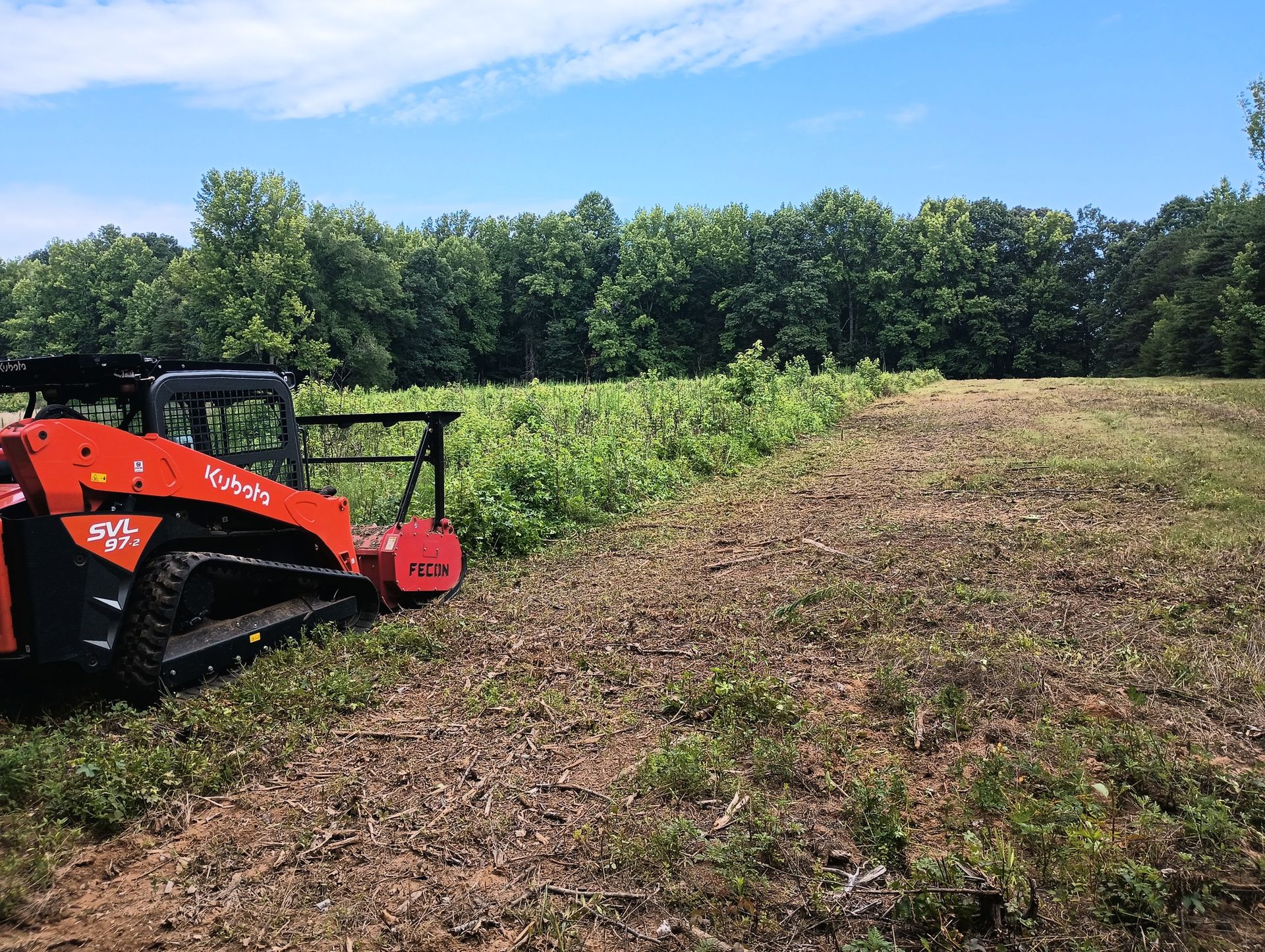 Red tractor mowing a grassy field beside a tree line under a blue sky.