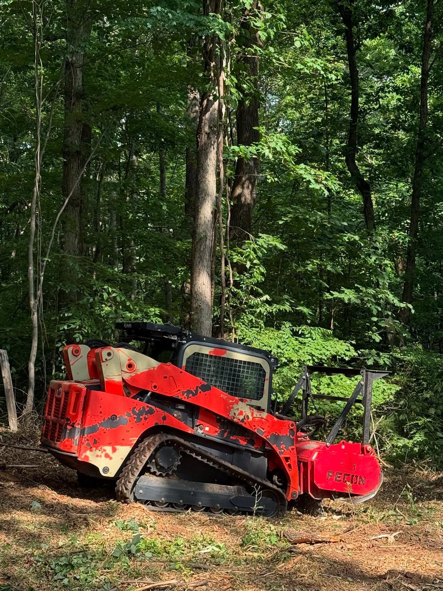 Red tracked forestry machine parked in a wooded area with trees and fallen branches.