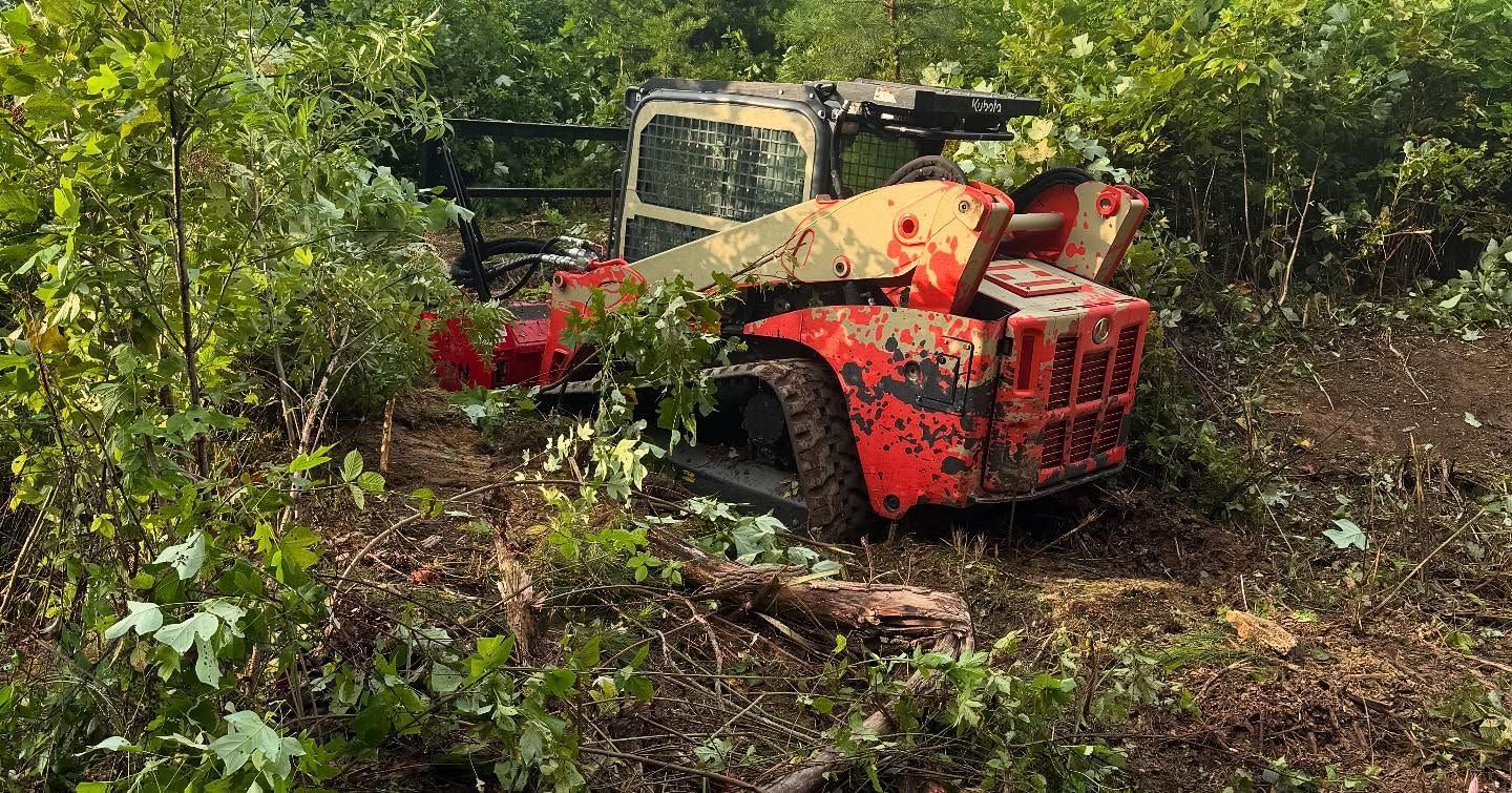 Orange forestry machine clearing brush in a muddy, wooded area