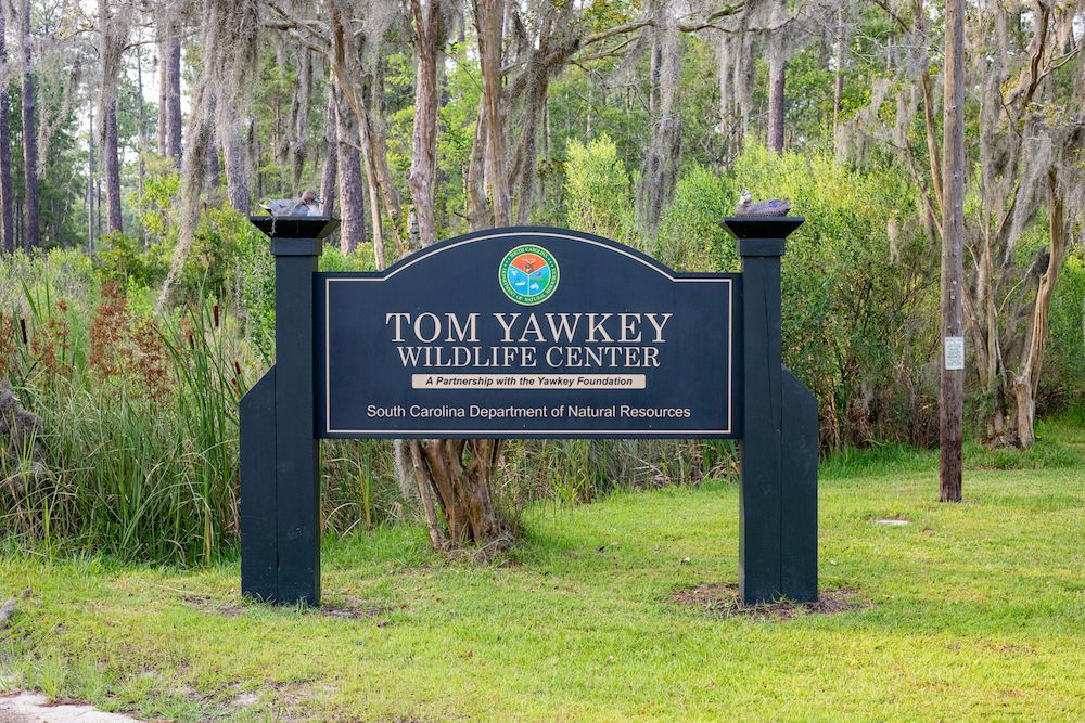 2026-11-05: Tom Yawkey Wildlife Center Heritage Preserve, Georgetown, SC