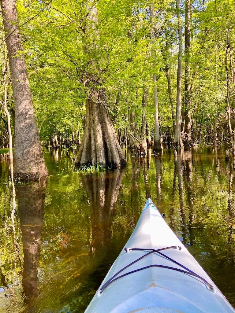 2026-09-14: South Carolina Revolutionary Trails/Kayaking the Lynch River, Florence