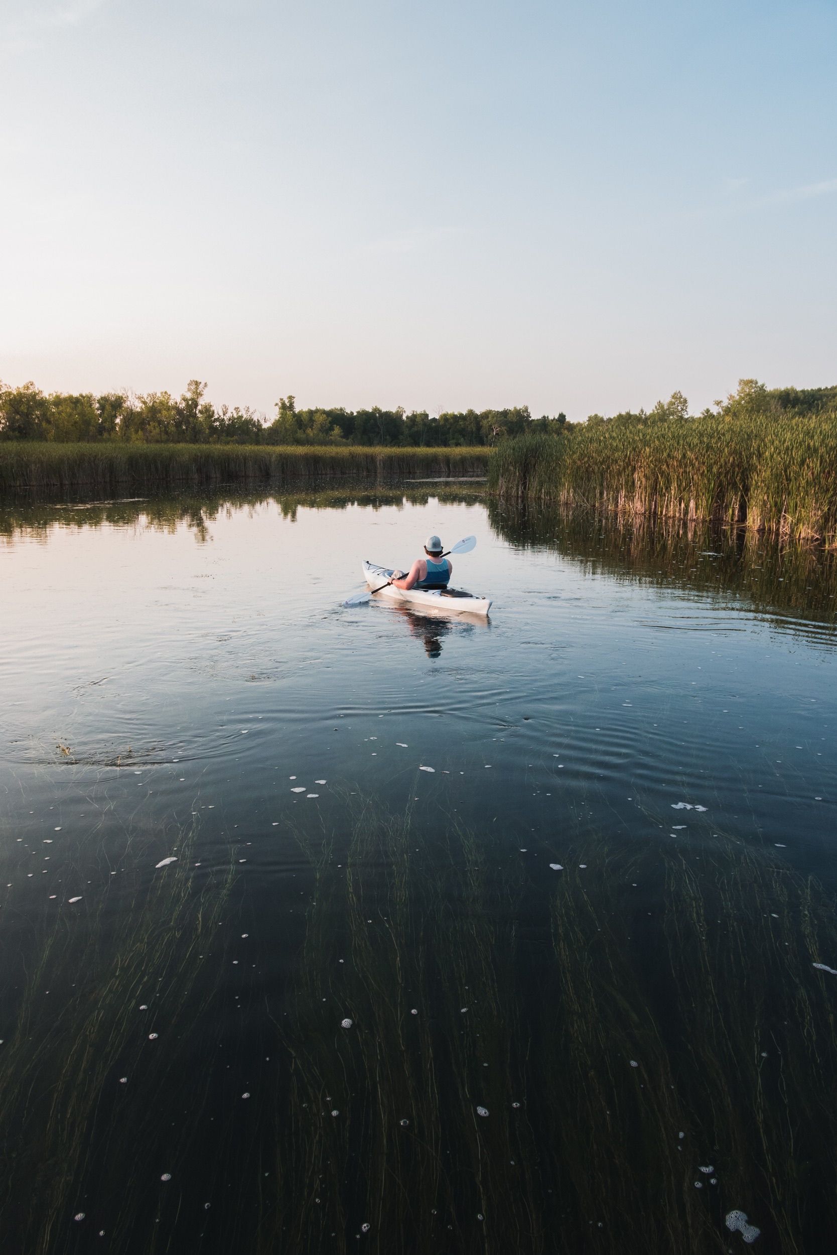2026-09-14: South Carolina Revolutionary Trails/Kayaking the Lynch River, Florence