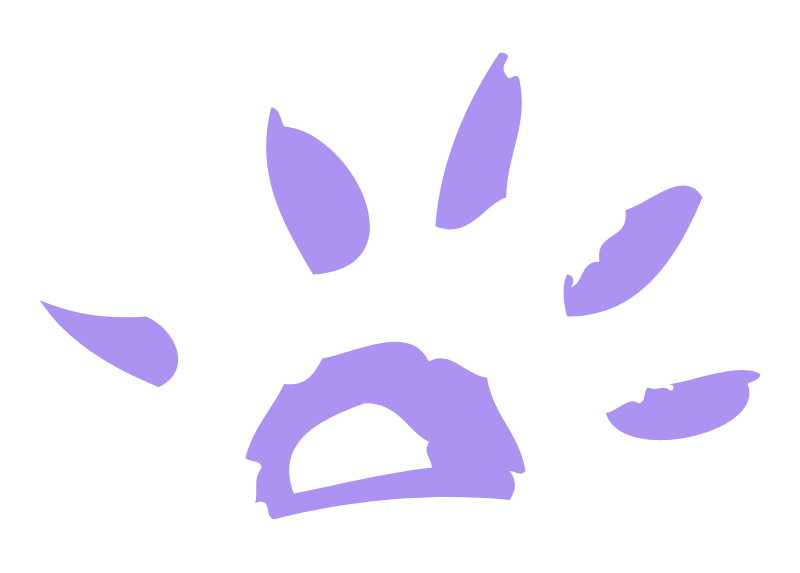 Purple sun burst icon on a white background