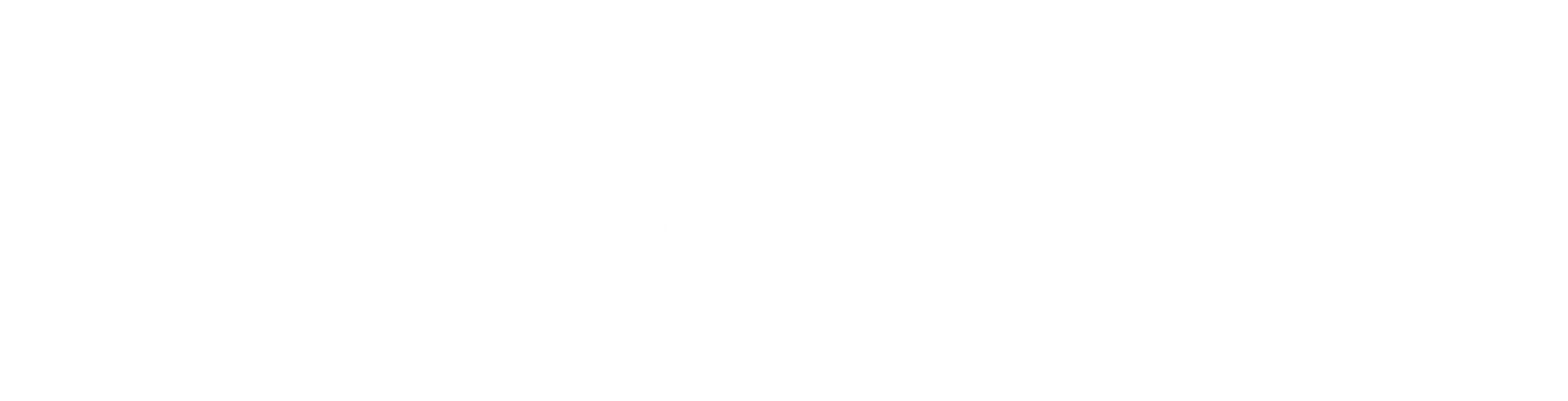 White horizontal rectangle with words centered What We Do