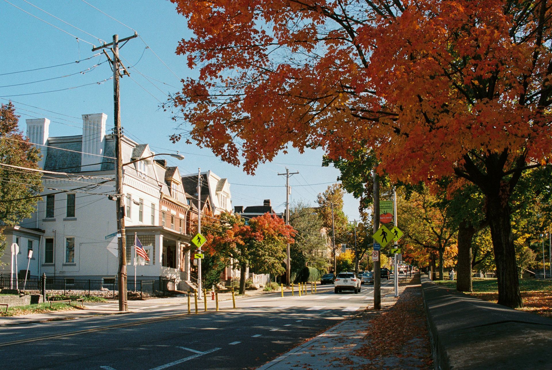 Street lined with trees with orange leaves in autumn, beside a row of houses. A car drives down the road.