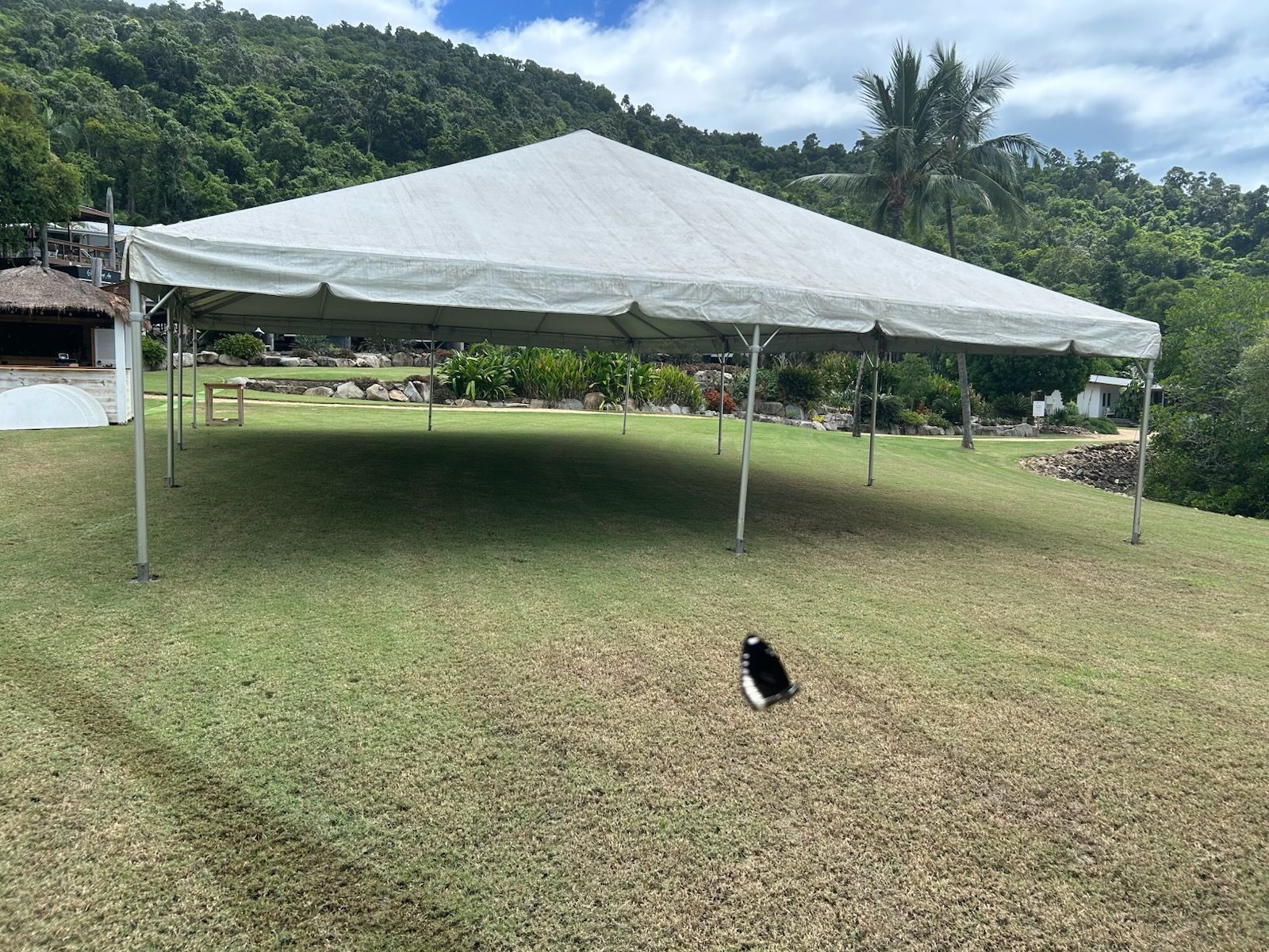 Large White Canopy Tent on a Grassy Field With Hills and Trees in the Background — Bowen Hire in Bowen, QLD