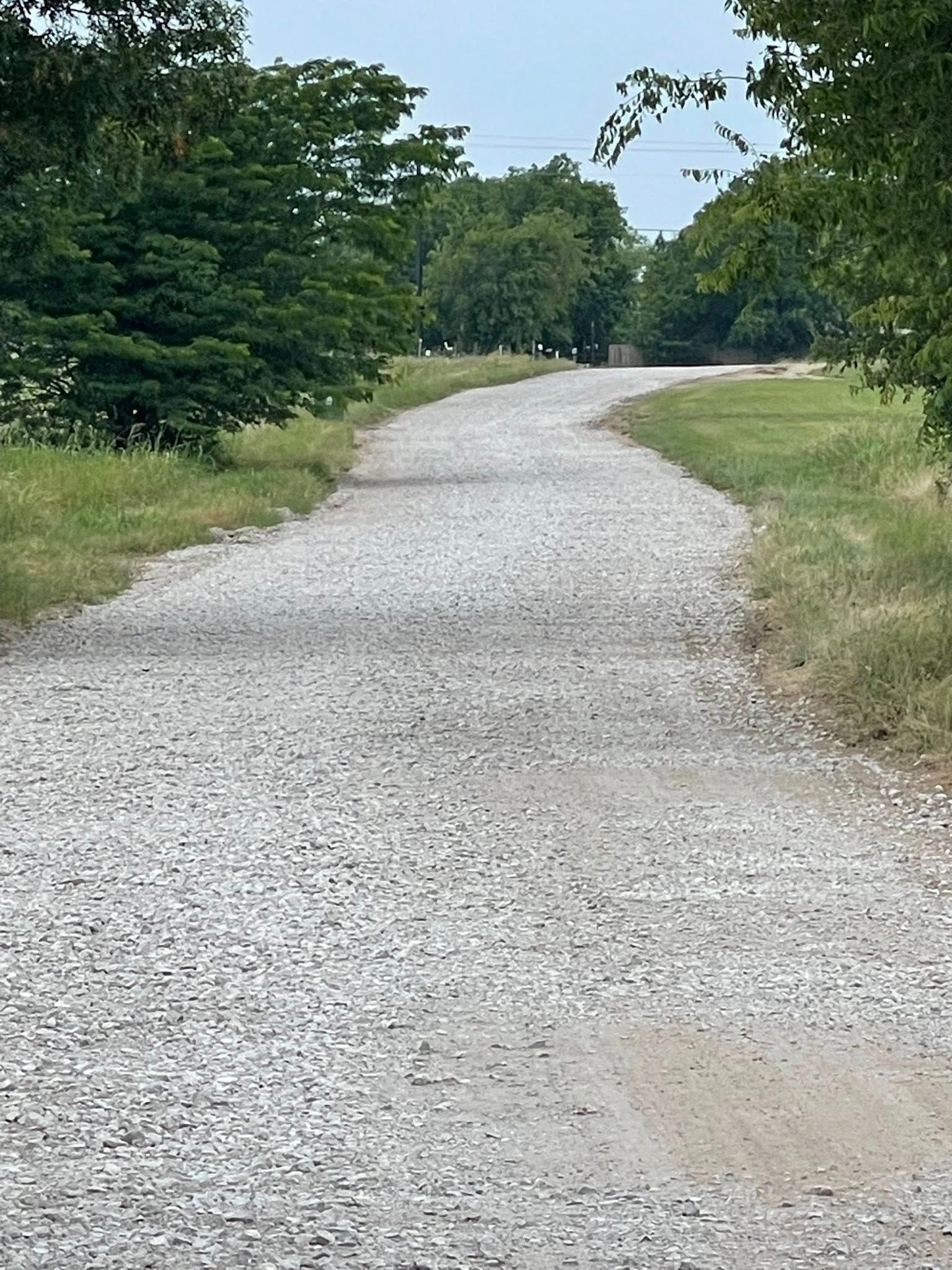 Gravel path curving through a green park with trees and grass on both sides