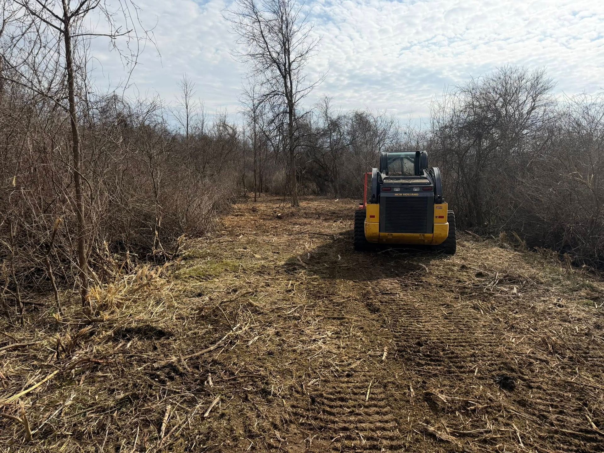 Yellow skid steer clearing a brush-covered dirt path in a leafless wooded area