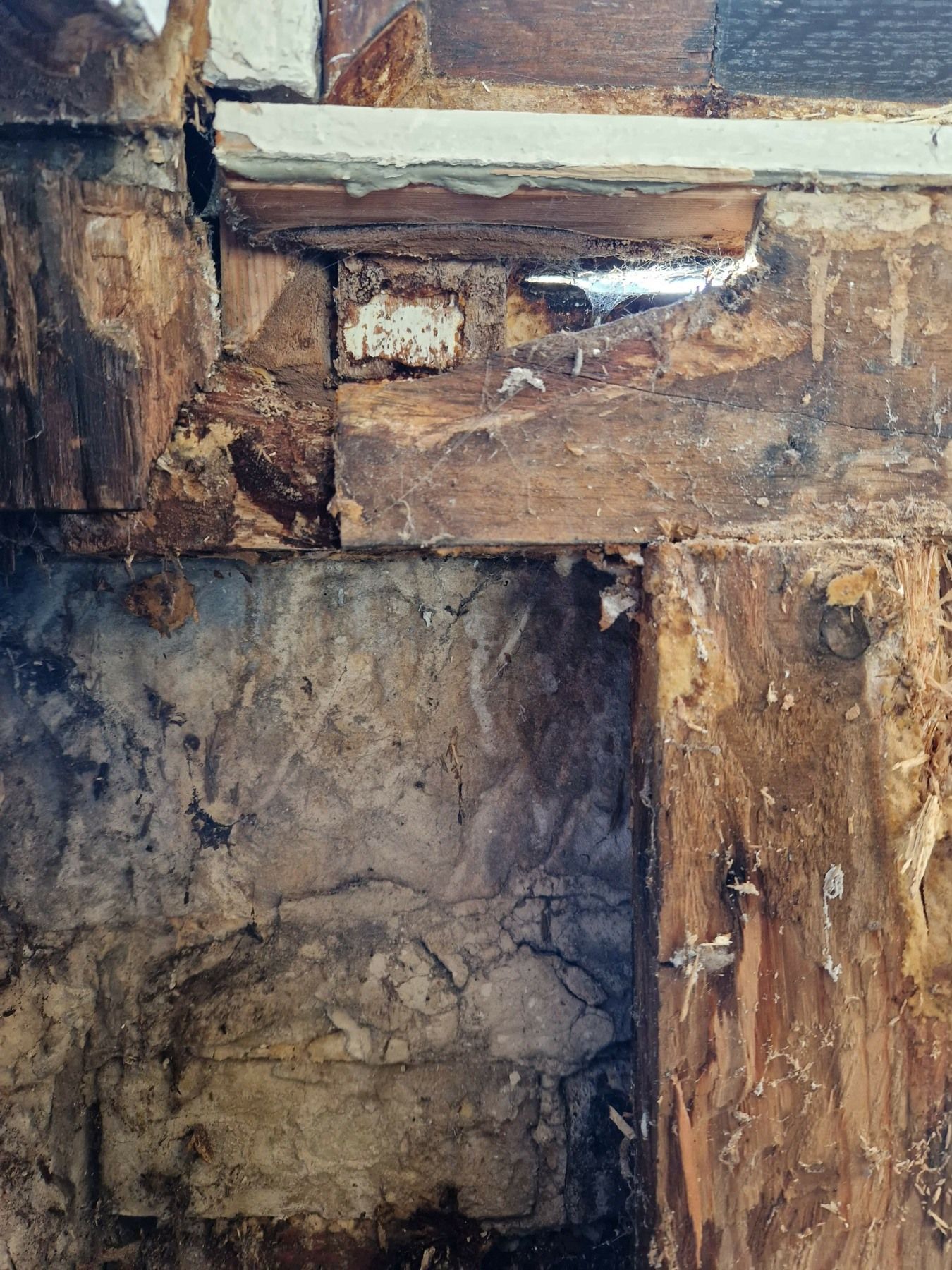 evidence of rotten timer in a sash window boxframe