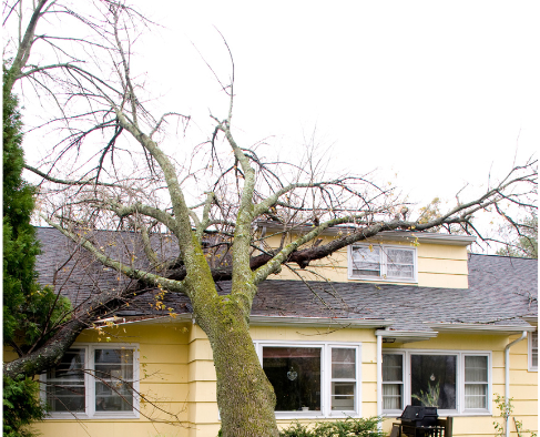 roof repair staten island
