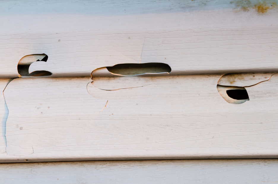 Siding repairs Staten Island