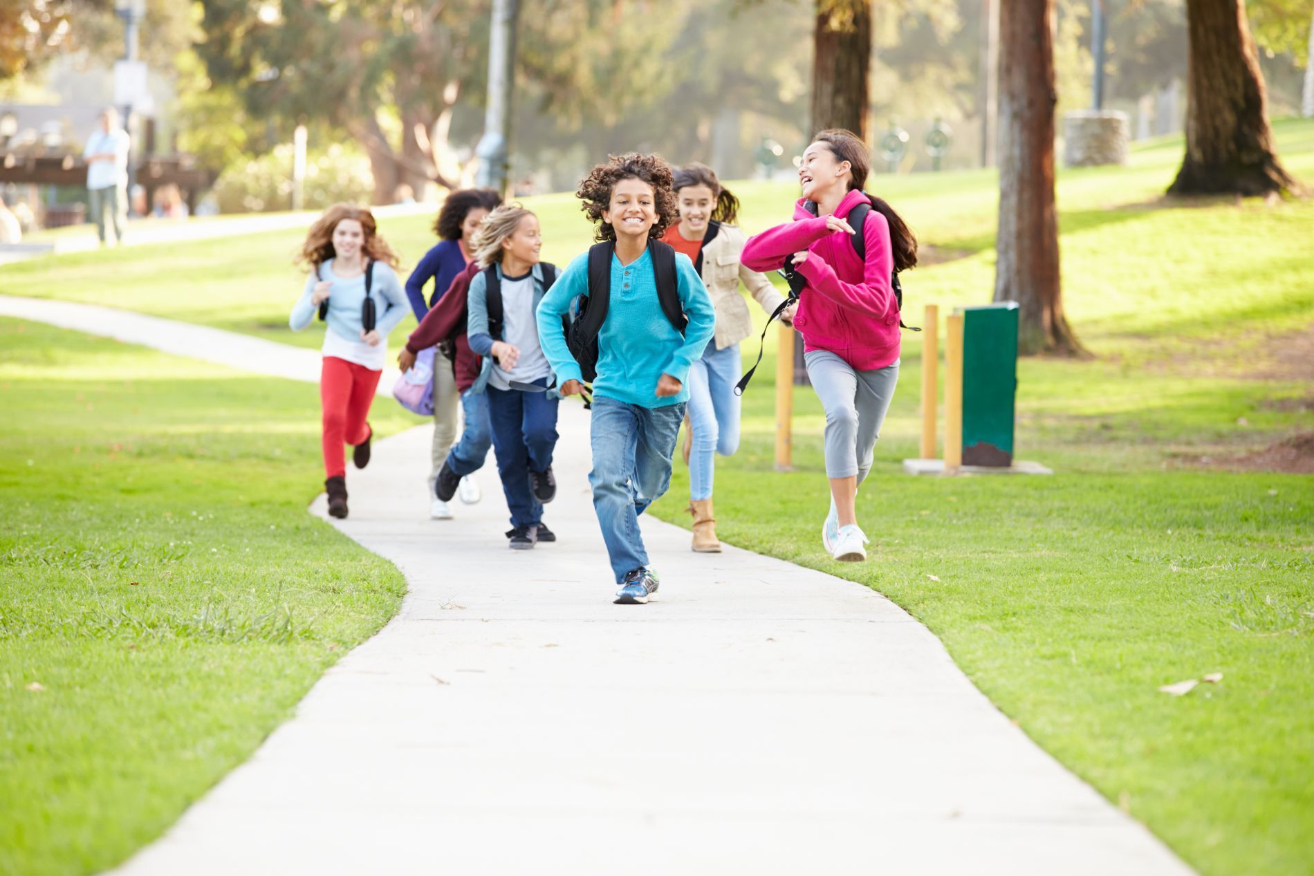 School Management Services