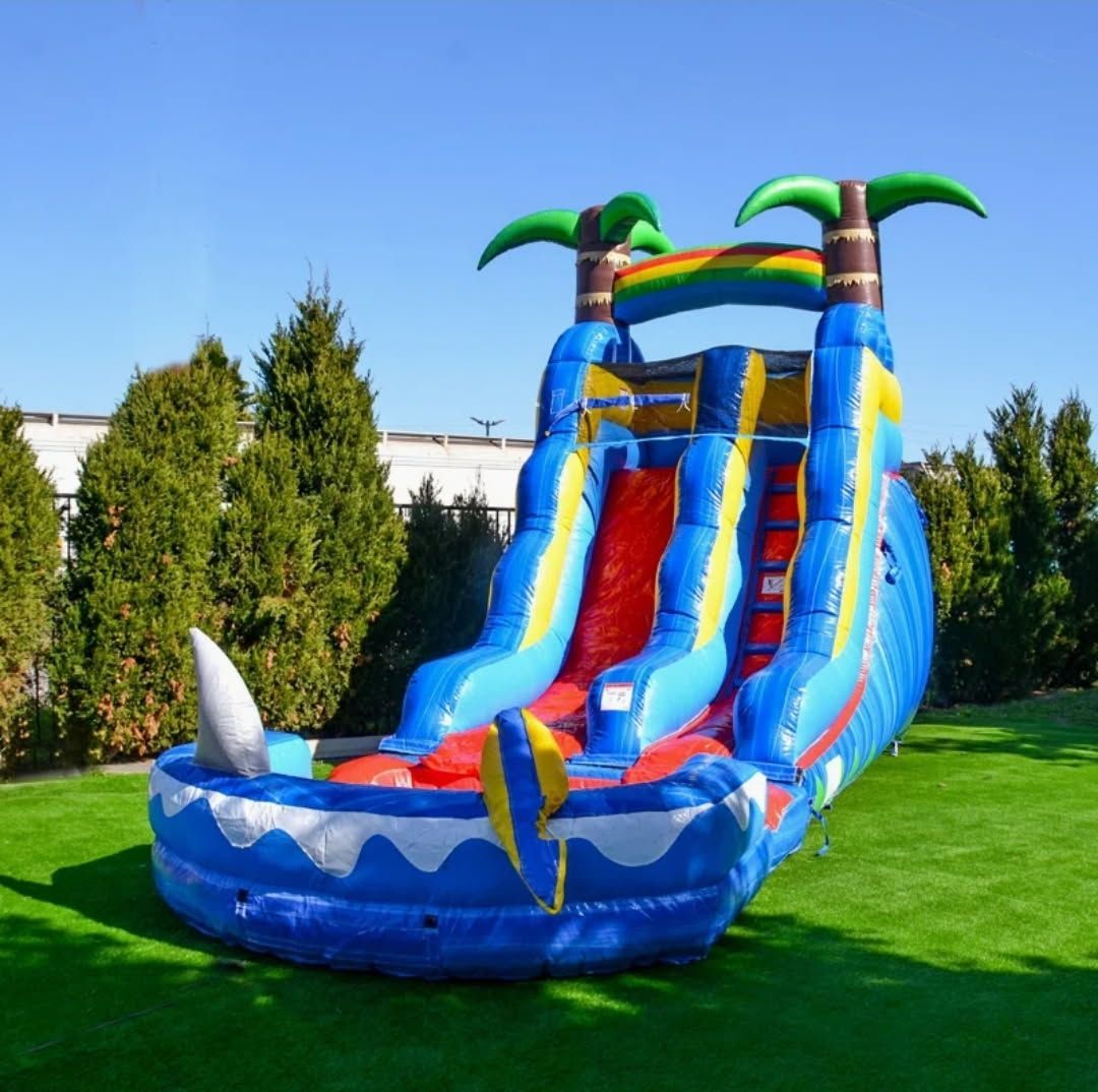 Ocean shark water slide.