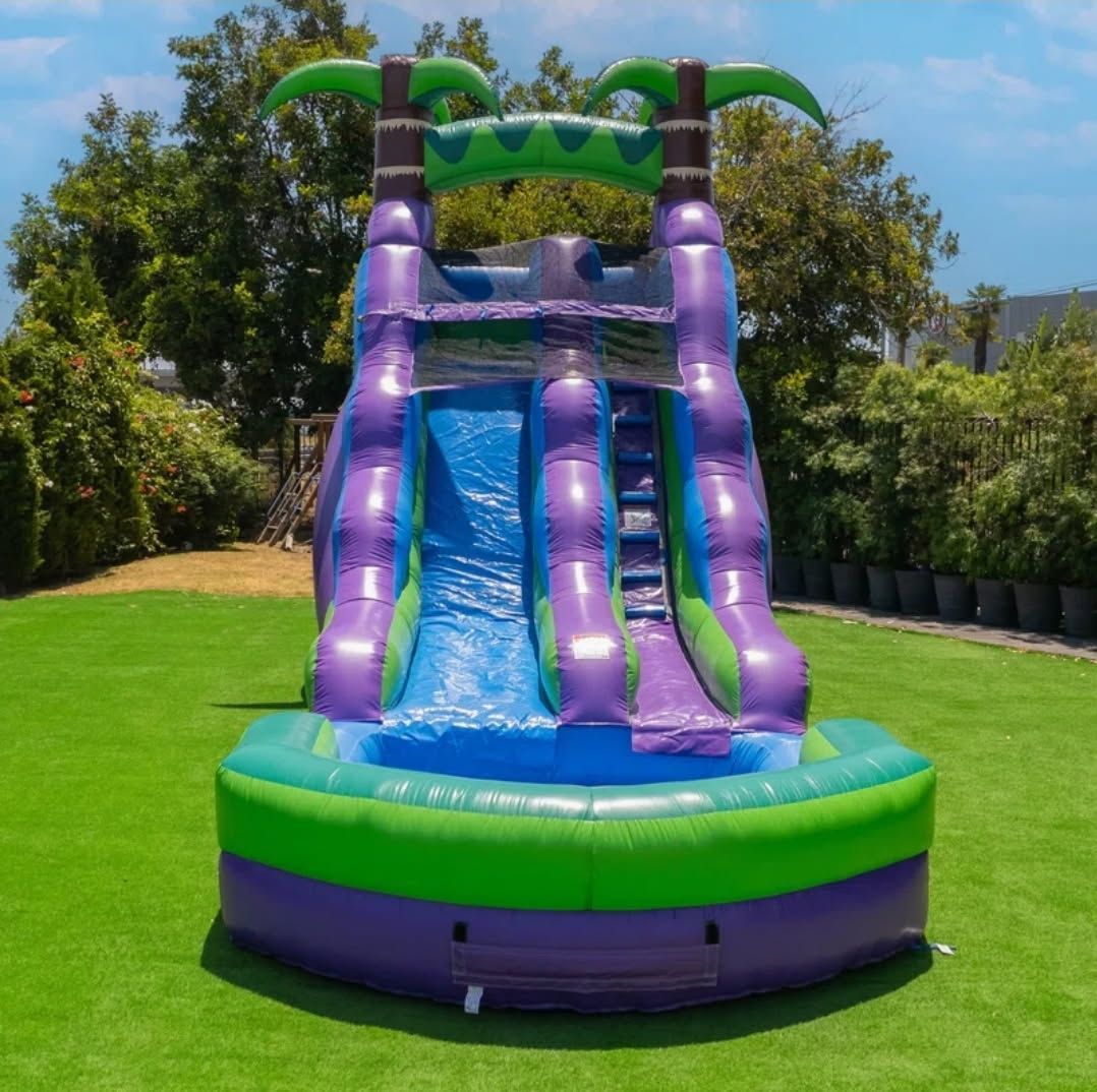 Purple tropical water slide.